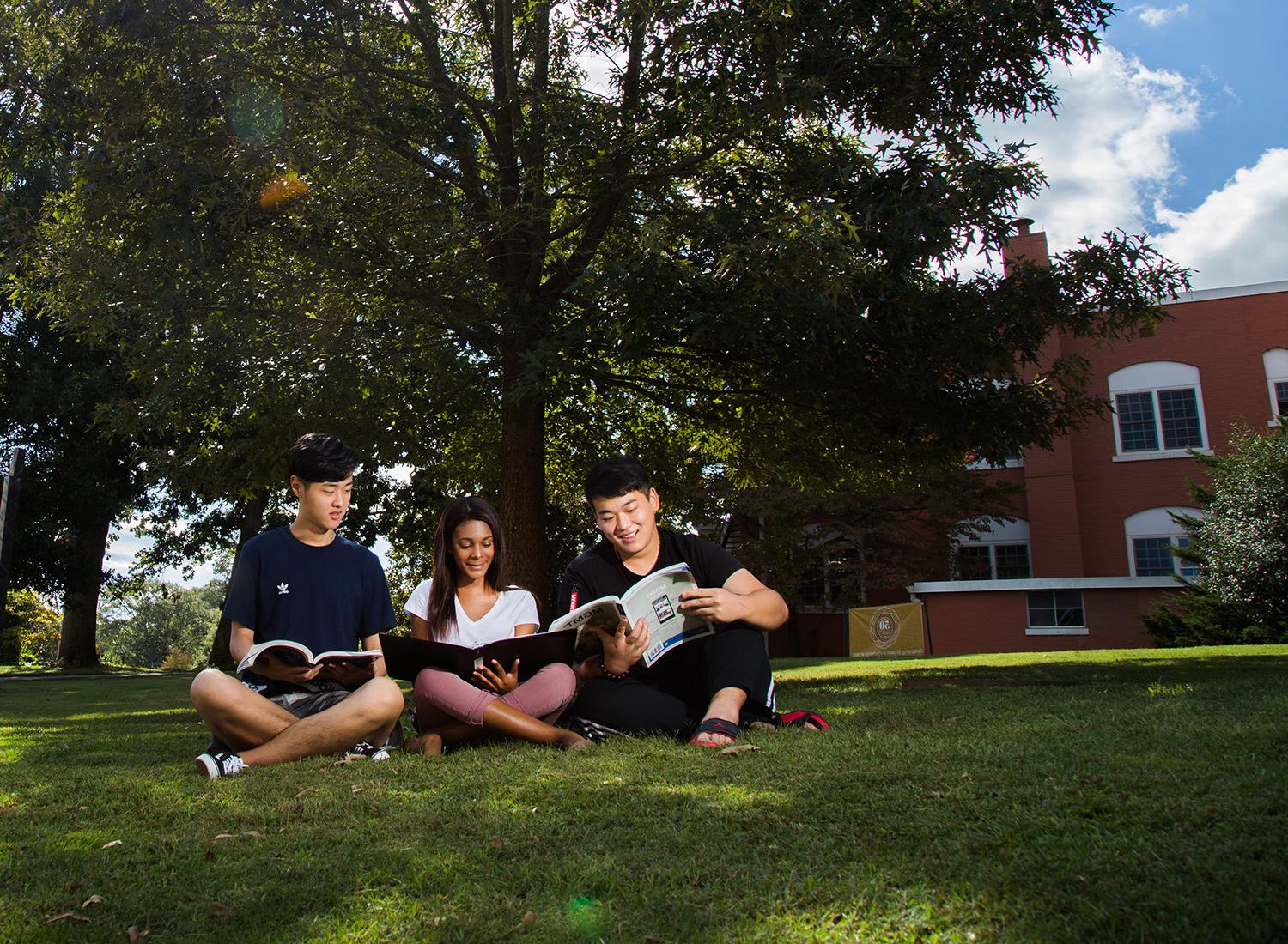 Business students sitting outside in the grass.