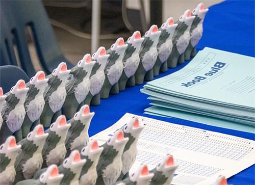 blue books and wolfie stress balls